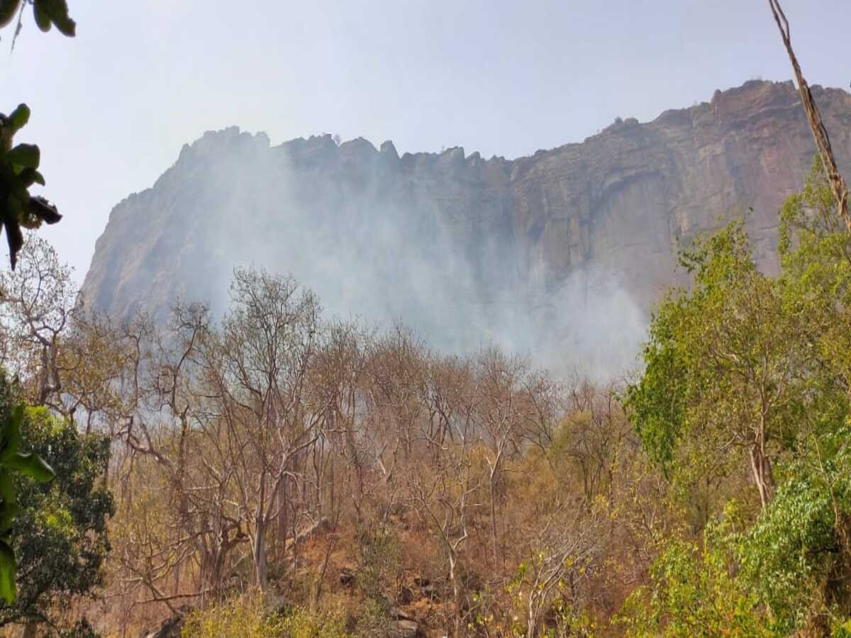 महादेव खोह के जंगल में लगी आग