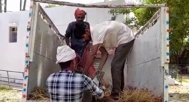 कैमूर खेत मे गई महिला को जहरीले सांप ने काटा झाड़ फूंक के चक्कर मे गई जान