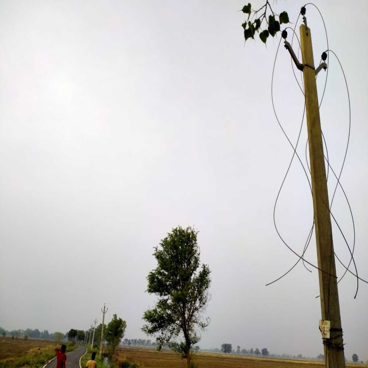 रोहतास: बिजली के बीस पोल के तार अज्ञात चोर ले भागे, विद्युत आपूर्ति ठप्प