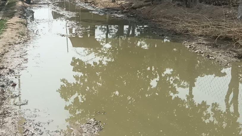 सड़क पर जलजमाव से सड़क पार करने में आए दिल गिरकर चोटिल हो रहे ग्रामीण