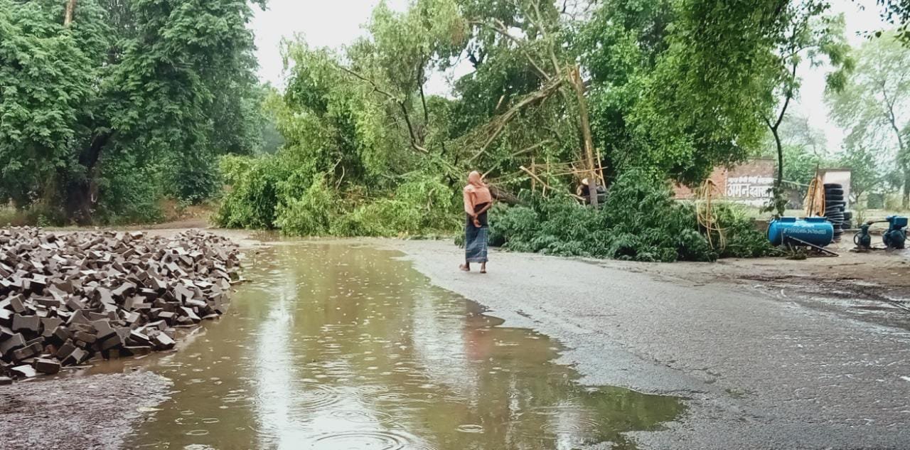 सैदपुर-चन्दौली मार्ग पर विशालकाय वृक्ष गिरने से आवागमन रहा बाधित
