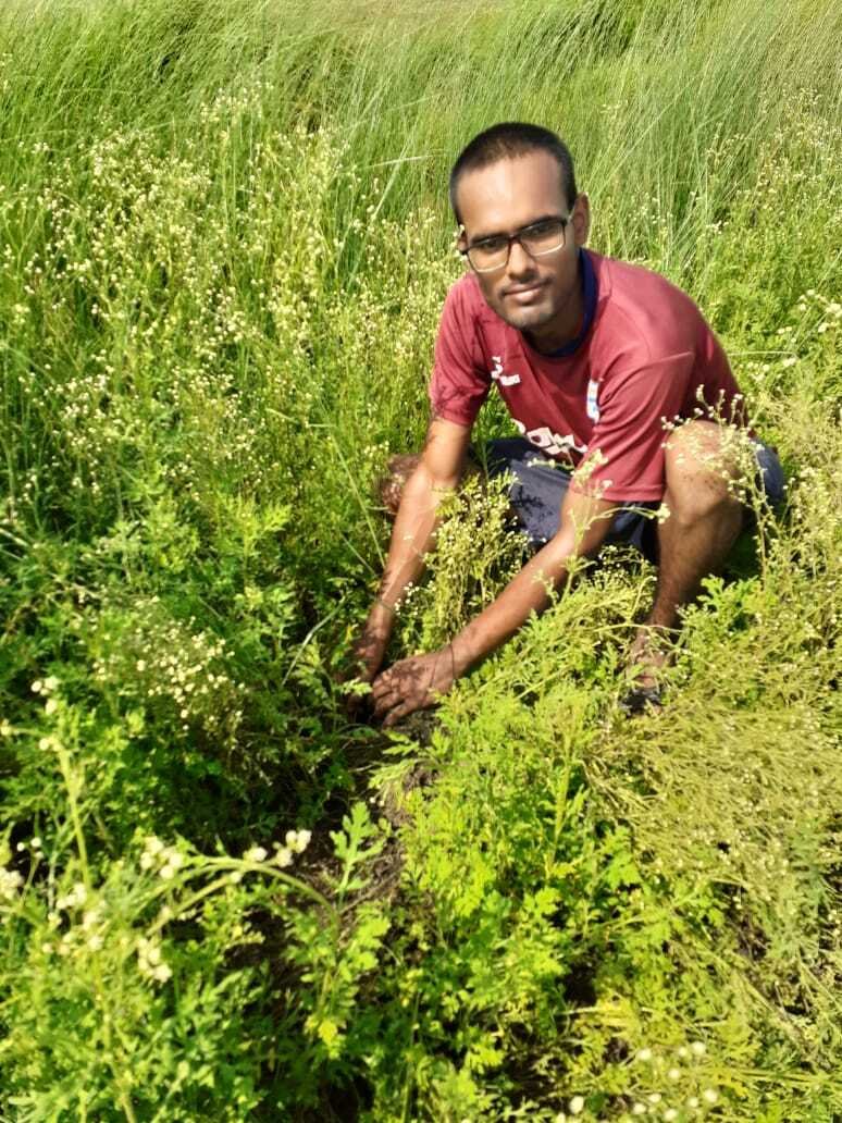 मिशन ग्रीन ड्राइव के तहत संस्था एवं ग्रामीणों की मदत से लगाये गये सैंकड़ों पौधे 