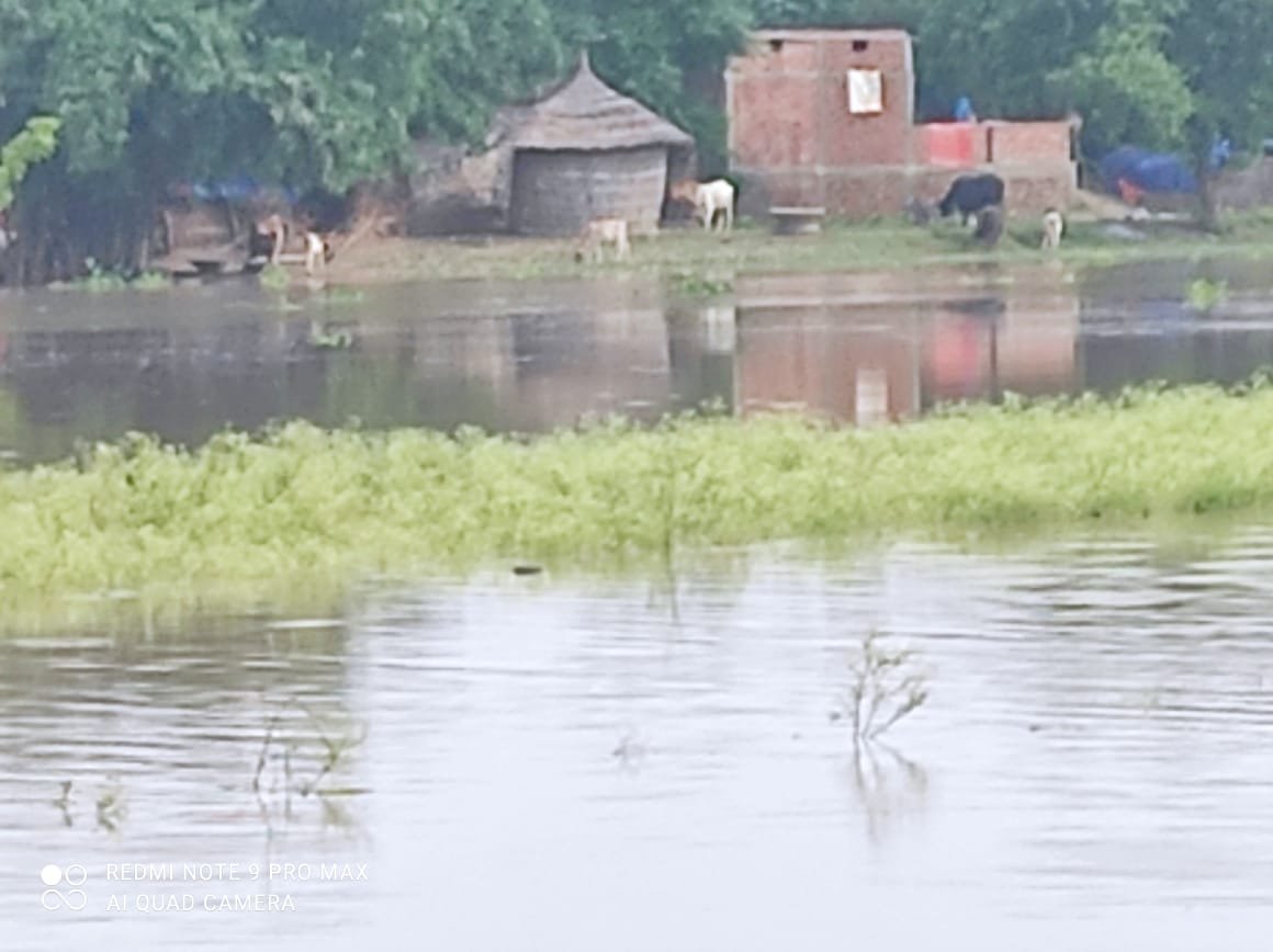 बिनगामा-जौनापुर पीडब्ल्यू डी सड़क के दोनों तरफ भरा बाढ़ का पानी