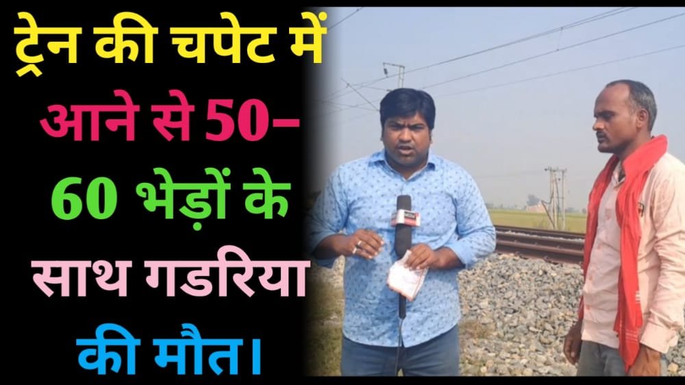 ट्रेन की चपेट में आने से 50– 60 भेड़ों के साथ गडरिया की मौत