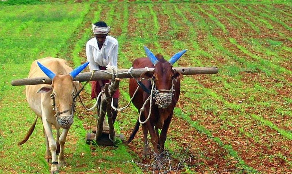किसानों के लिए गुड न्यूज, बिना किसी ब्याज के अब मिलेगा 5 लाख रुपए का लोन!