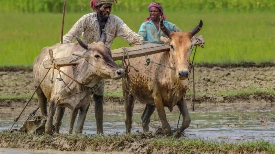 Ration Card: मुफ्त राशन लेने वालों के लिए खुशखबरी, फरवरी में मिलेगा डबल राशन!