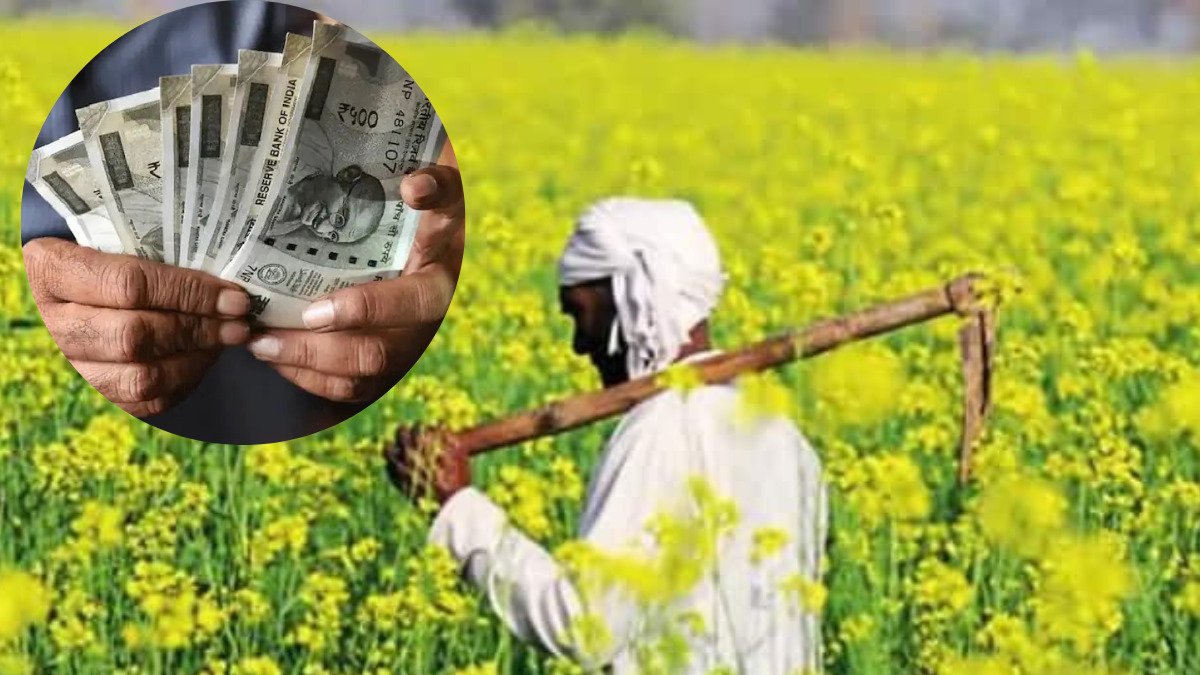 Government Schemes: मोदी सरकार की इस योजना से 40 करोड़ किसानों को मिला फायदा, आप भी करें अप्लाई