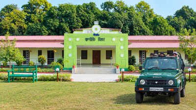 आज से खुला VTR, जंगल सफारी शुरू; बाढ़ के बाद फिर गुलजार हुआ वाल्मीकि टाइगर रिजर्व